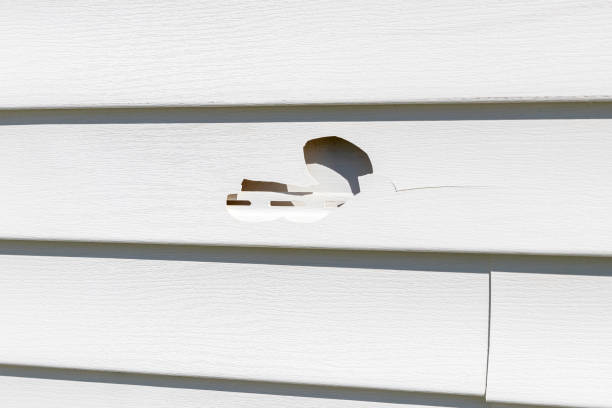 Best James Hardie Siding  in Henderson, LA
